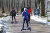 Słoneczna niedziela w województwie śląskim. Tłumy mieszkańców nad Paprocanami i jeziorem Nakło-Chechło