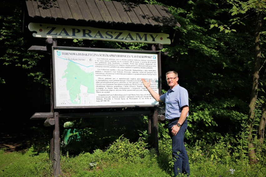 Straszny dwór i panorama na miasto. Czary i uroki osiedla Falkowa