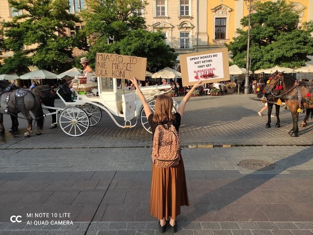 "Będziemy protestować, aż do zakończenia eksploatacji koni przez dorożkarzy" - zapowiadają przedstawiciele grupy "Wio z Krakowa"