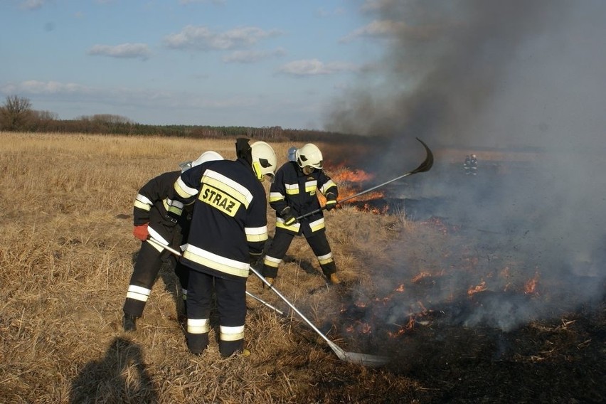 Pożar traw w Woli Wapowskiej