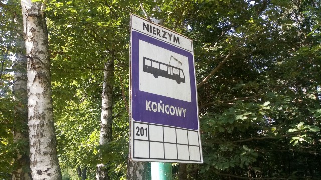 Wystartowała sezonowa linia autobusowa, która podwiezie nas nad jezioro Nierzym.