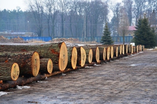 Los to określenie sztuki drewna przeznaczonej do sprzedaży podczas submisji drewna. W swoim opisie posiada m. in.: numer (oznaczony farbą lub oznaczony w formie plastikowej tabliczki nabitej na czole sztuki), gatunek drewna, długość, średnicę oraz masę podaną w metrach sześciennych (m3). Każdy kupiec wycenia samodzielnie poszczególne losy, nie wiedząc jak zrobili to pozostali oferenci.