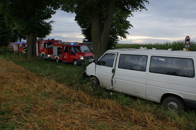 Wypadek pod Koźminem Wielkopolskim. Bus uderzył w drzewo