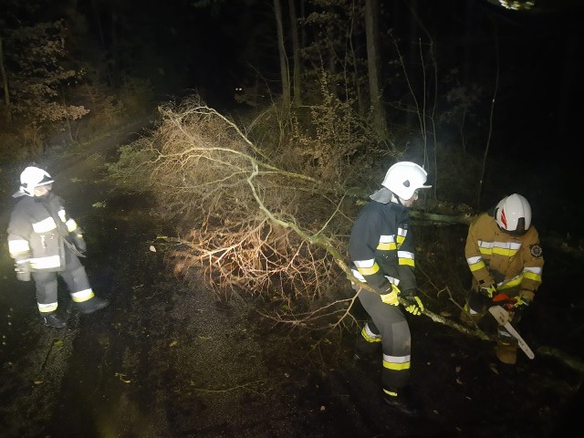 Strażacy z powiatu tucholskiego najczęściej usuwali drzewa przewrócone na drogi