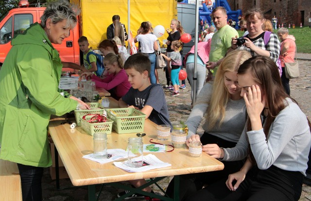 Konkursy, warsztaty ekologiczne, pokazy ratownictwa, popisy żużlowców i wiele innych atrakcji czekało na mieszkańców, którzy w sobotę pojawili się na Błoniach Nadwiślańskich w Grudziądzu. Zorganizowano również zbiórkę elektrośmieci oraz karmy dla zwierząt. Okazją był festyn ekologiczny połączony z akcją sprzątania świata. Tym razem, chętni wysprzątali przede wszystkim brzeg Wisły. Imprezę umilały występy m.in.  Orkiestry Dętej Lasów Państwowych z Technikum Leśnego w Tucholi. Organizatorami przedsięwzięcia było Centrum Edukacji Ekologicznej oraz Miejski Zakład Komunikacji w Grudziądzu.