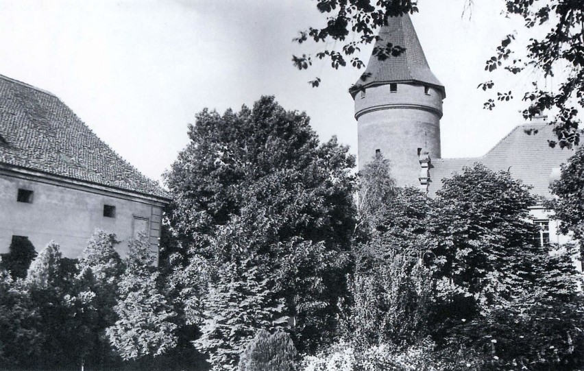 Zamek i park zamkowy w 1927 roku. Z lewej strony kaplica.