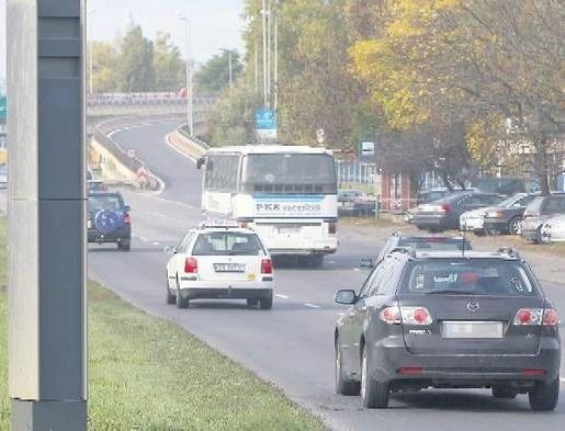 Jesienna metoda "na liścia" stała się popularna wśród mieszkańców powiatów gryfińskiego