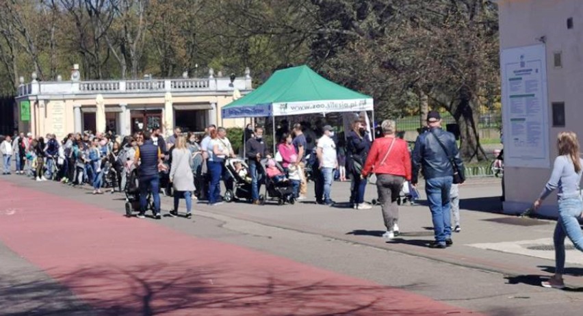 Długa kolejka ustawiła się przed wejściem do Śląskiego...