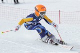 Narciarskie i snowboardowe mistrzostwa Wielkopolski odbędą się 14 stycznia