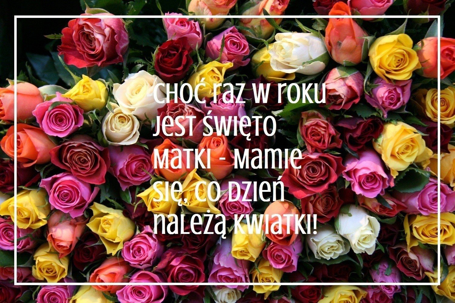 Kartki Na Dzień Matki 2022 Wyślij Mamie Kartkę Z życzeniami Mms Facebook Whatsapp 1492