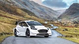 Ford Fiesta WRC na sezon 2017. Jaki silnik? 