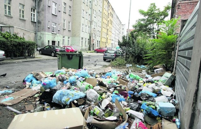 Z dużym prawdopodobieństwem, na początku lipca Wrocław nie będzie sprzątany