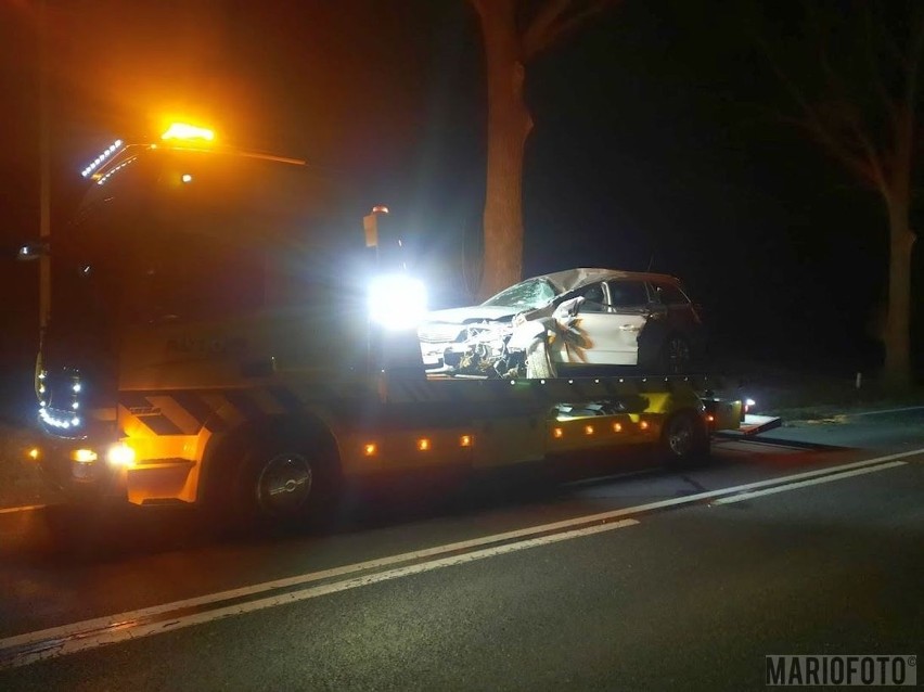 Wypadek w powiecie oleskim. Opel uderzył w drzewo.