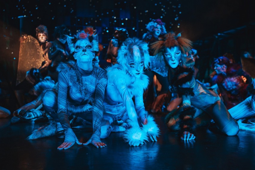 Chorzów: Musical "Koty" - premiera w Teatrze Rozrywki. To wyjątkowy spektakl![RECENZJA]