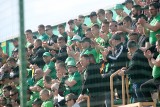 Kibice wrócili na stadion w Łęcznej. Zobacz fanów Górnika na meczu z Odrą Opole