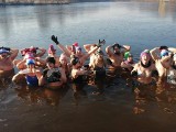Morsy z Grójca kąpały się w zalewie Osieczek w gminie Pniewy. Pogoda nie przestraszyła amatorów chłodnych kąpieli. Zobacz zdjęcia