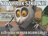 Początek roku szkolnego okiem internautów [MEMY]