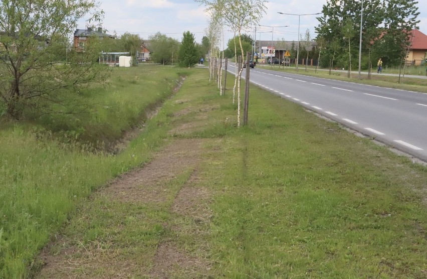 Radom. Zniszczony trawnik na ulicy Energetyków. Jak do tego doszło?