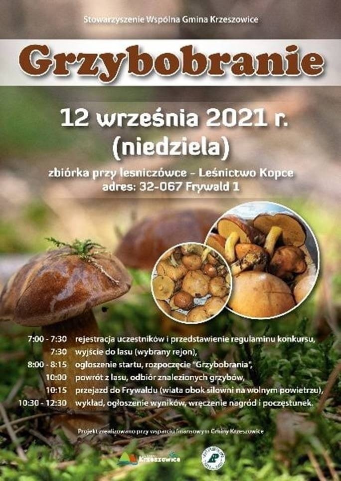 Powiat krakowski. Weekend z festiwalami nietoperzy i rocka, poszukiwanie kamieni, grzybobranie i degustacja gulaszu