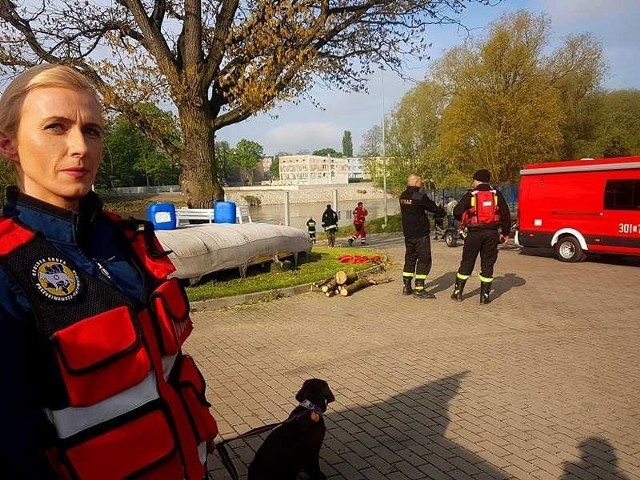 Zaginionego 21-latka szukają policjanci, strażacy, grupy poszukiwawcze.