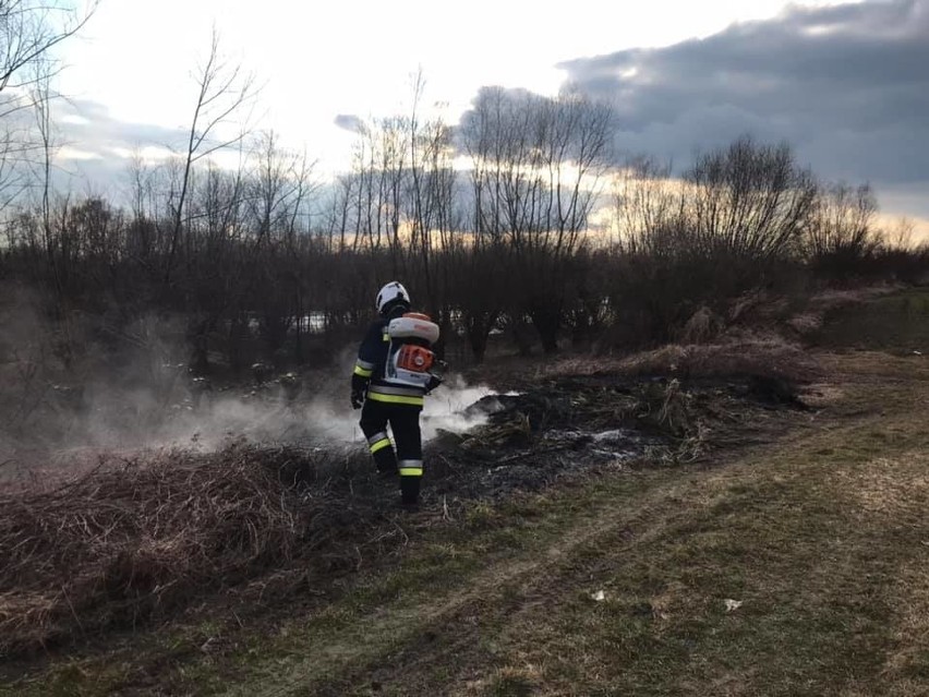 Strażacy z Bobrownik Wielkich gasili pożar traw przy Dunajcu
