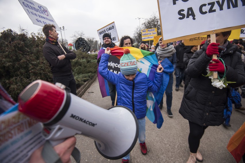 Tak wyglądała toruńska Manifa w ubiegłym roku.