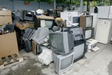 Schab, biżuteria, telewizory, czyli co wyrzucamy na śmieci