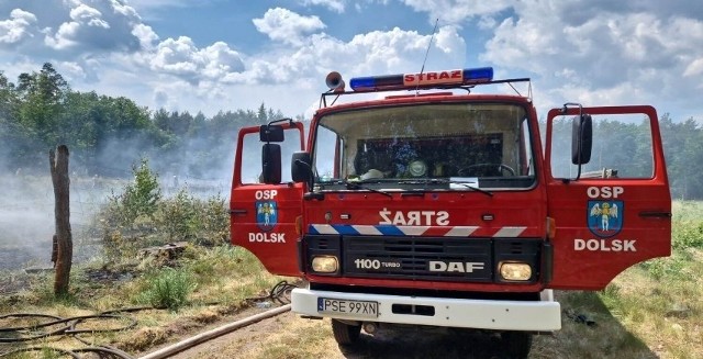 Ogień objął teren lasu w Gajewie o powierzchni prawie jednego hektara