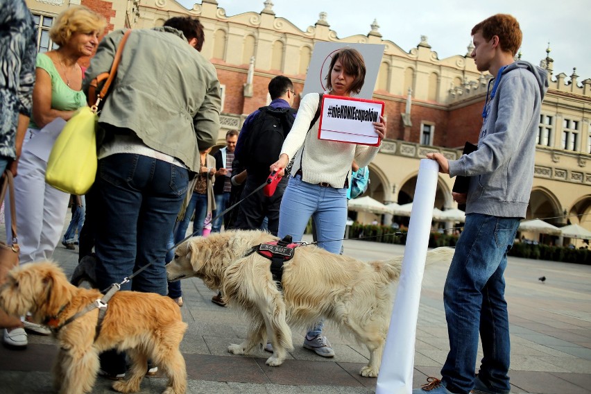 Kraków. Protest w obronie koni dorożkarskich [ZDJĘCIA]