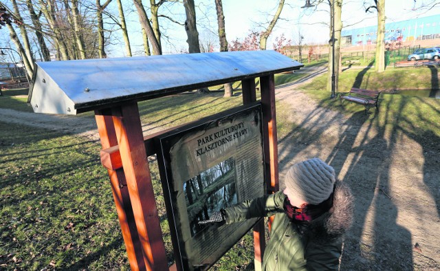 Prace wykonywała forma Golf Projekt Waldemara Szadnego, a nadzorował Bud-Invent, który nadzorował budowę akwaparku. Według biegłego drzewa uschły z powodu błędów w pracach.