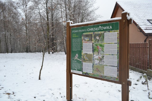 Park jest idealnym miejscem na spacery, dzieci mogą bawić się tutaj na placyku, a w ciepłych miesiącach można skorzystać z siłowni pod chmurką.