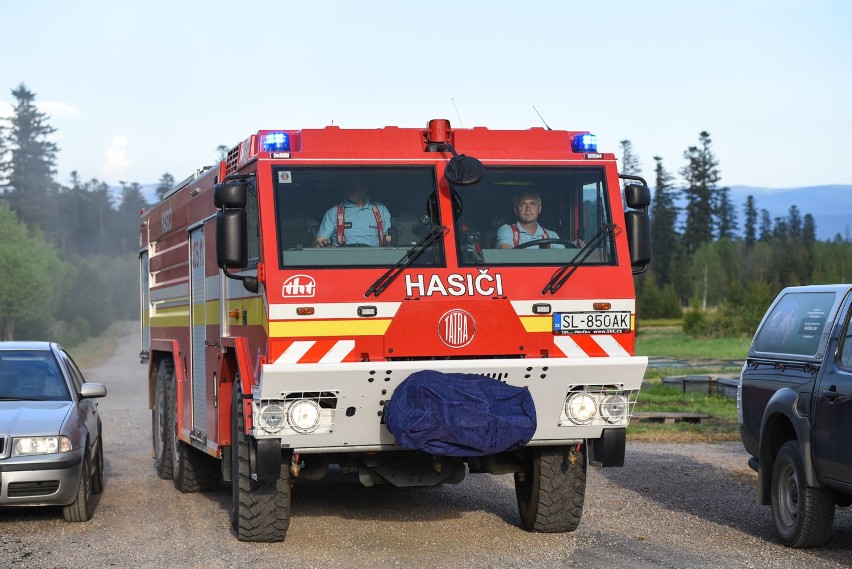 Tatry Słowackie. Wielki pożar lasu spowodowali robotnicy leśni [ZDJĘCIA]