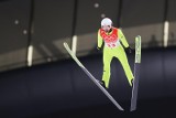 Skoki narciarskie. Polacy w czołowej dziesiątce Pucharu Świata w Lillehammer [WYNIKI]