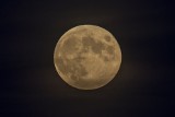 Niezwykła pełnia Księżyca! Zobacz Poznań w blasku Srebrnego Globu