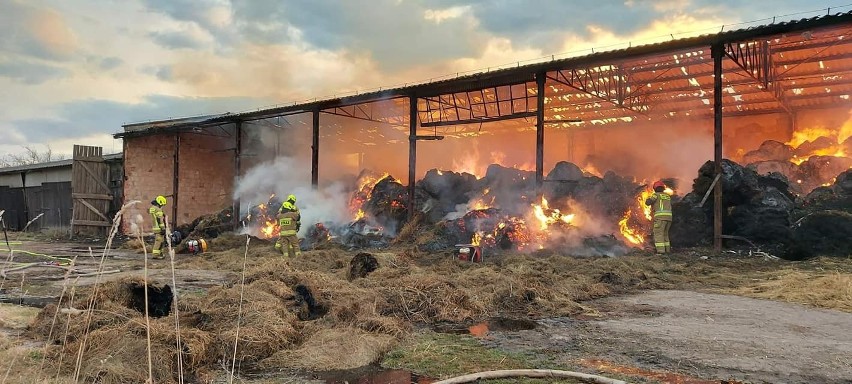 Berkowo. Wielki pożar zabudowań rolniczych. Płonęły bele słomy (zdjęcia)