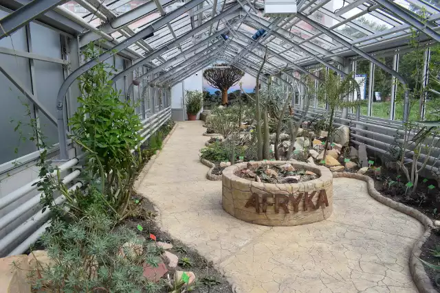 16 maja (wtorek) Ogród Botaniczny Uniwersytetu Wrocławskiego otworzył dla swoich gości nowe szklarnie. Znajdują się w nich unikalne sukulenty z Afryki i Meksyku.