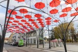 Biało-czerwone parasolki nad ulicą Kilinskiego