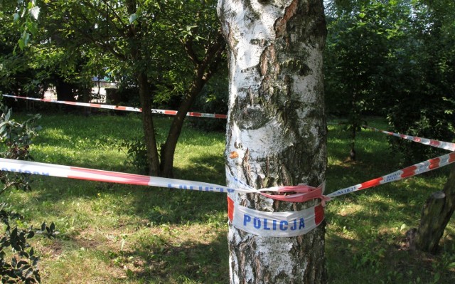 Miejsce przy ulicy Piastowskiej w Radomiu, gdzie został znaleziony chłopiec.