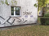 Grafficiarz grasuje na Osiedlu Jagiellońskim w Kielcach. Ucierpiało wiele budynków [ZDJĘCIA]