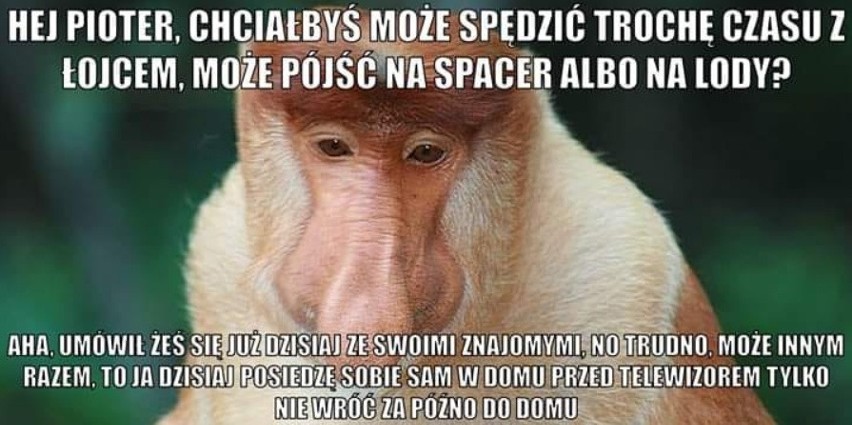 Nosacz Janusz w nowej odsłonie. Smutne MEMY z nosaczem podbiły internet. Zgadzasz się z internautami?