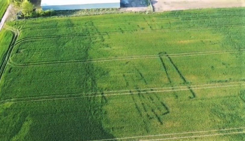 Ślady po ponad pięćdziesięciu trapezowatych budynkach jako...