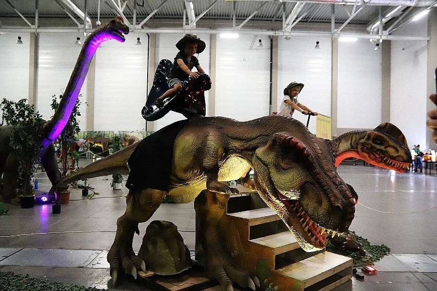 Łódź Dino Expo. 35 dinozaurów w Hali Expo. Zobaczcie zdjęcia!
