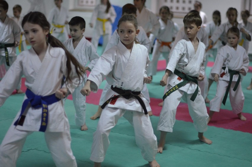 Doświadczeni instruktorzy gośćmi Akademii Karate Tradycyjnego w Niepołomicach
