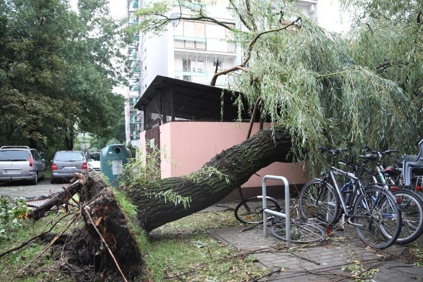 Kraków. Nawałnica zniszczyła drzewa na Twojej posesji? Miasto pomoże