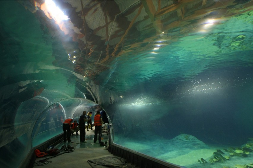 Afrykarium we wrocławskim zoo już niemal gotowe