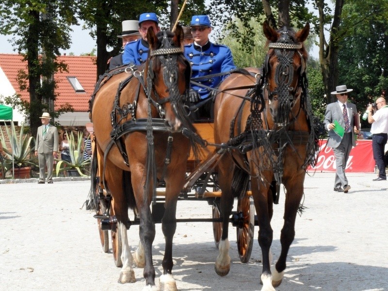 Przepiękne konie, piękne stroje i sportowa rywalizacja, a...