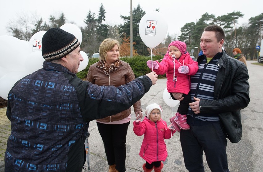 Czytaj koniecznie: Dojazd na gęsinę do Przysieka -...