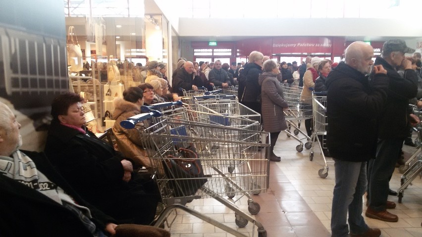 Otwarcie Auchan w Rybniku. Tłumy klientów czekały na ten...