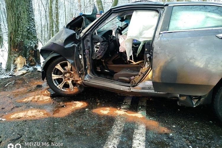 Groźny wypadek w Czerwionce-Leszczynach. 60-latek uderzył w drzewo ZDJĘCIA