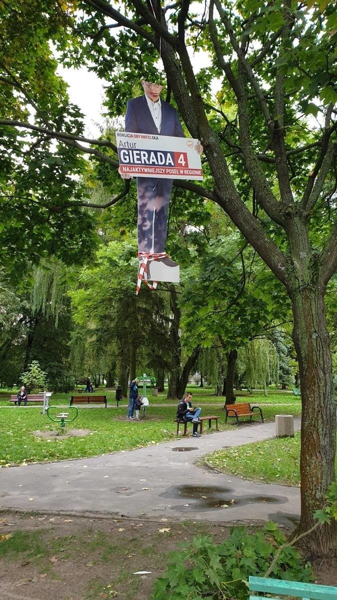 Powiesili wizerunek posła Artura Gierady na drzewie w Kielcach. Dwaj bracia odpowiedzą przed sądem